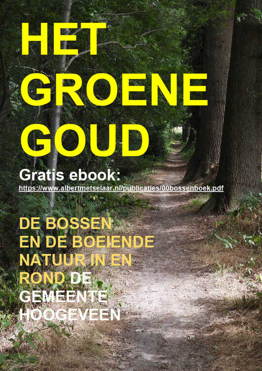 poster met een mooi pad in het groen en een link naar het gratis e-book 'Het groene goud', van Albert Metselaar
